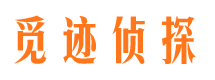 民和市婚外情调查